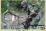 Sothiya Regiment