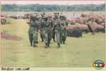 Sothiya Regiment