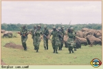 Sothiya Regiment