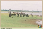 Sothiya Regiment