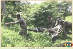 Motar Regiment