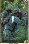 Motar Regiment