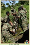Motar Regiment