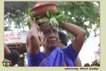 Vattappalai