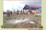 Vattappalai