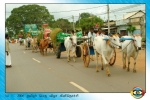 Thamilar Naal
