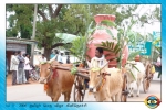 Thamilar Naal