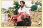 Mullaitheevu