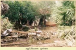 Mullaitheevu