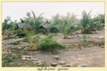 Mullaitheevu