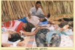 Mullaitheevu