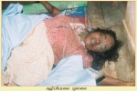 Mullaitheevu