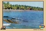 Palani