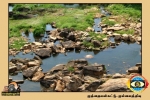 Vettiyalagan