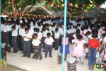 Nilal Cholai