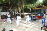 Nilal Cholai