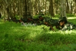 Auxiliary Force