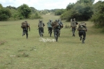 Black Tigers